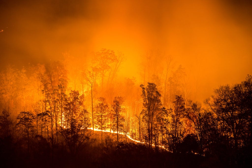 What to Do if a Wildfire is Approaching Your Business